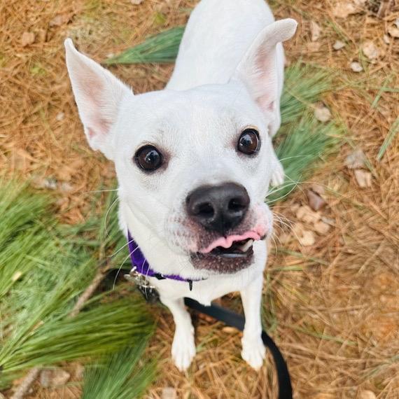 Casper 22364 — thumbnail 4