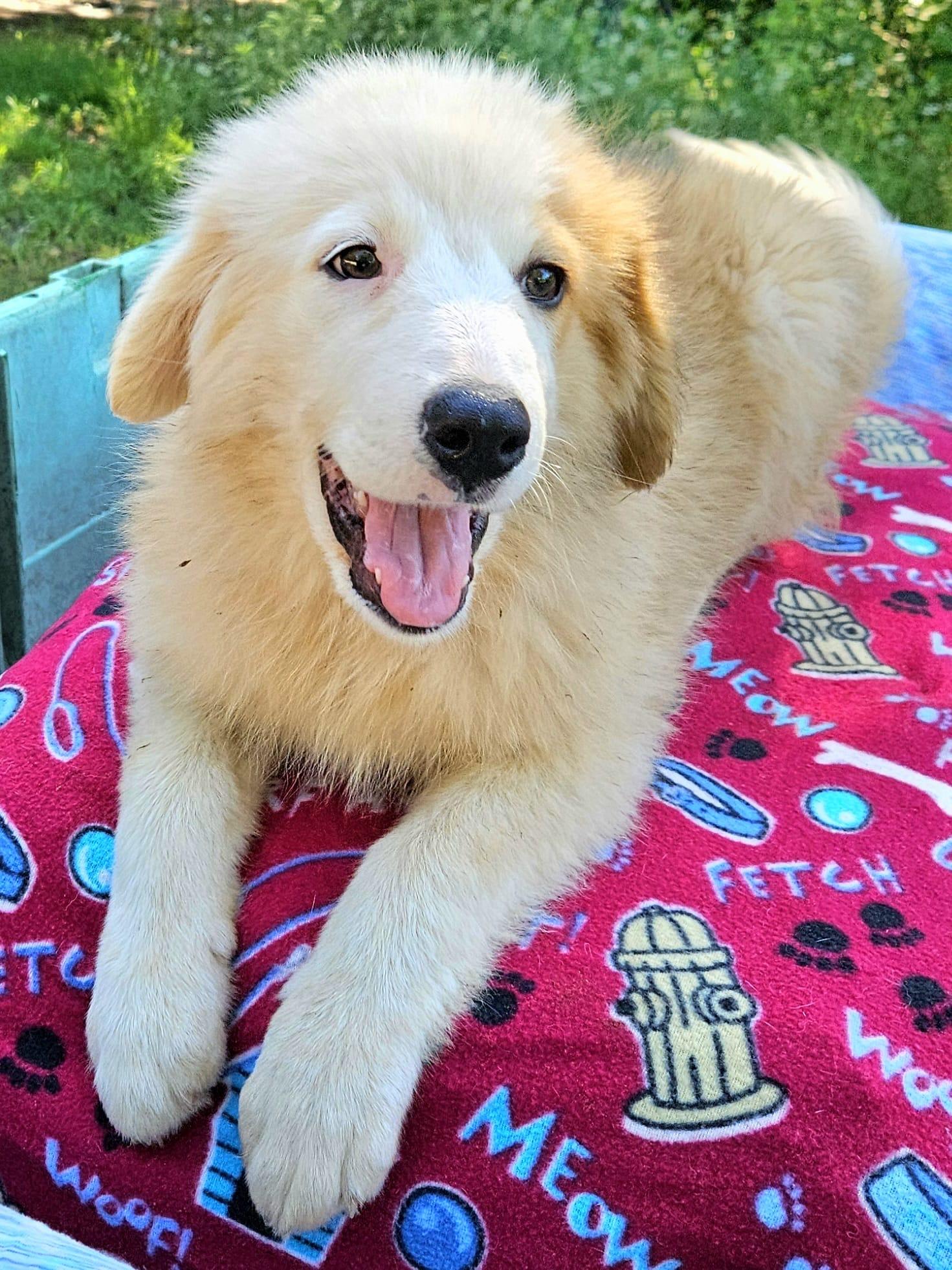 Bella photo 4