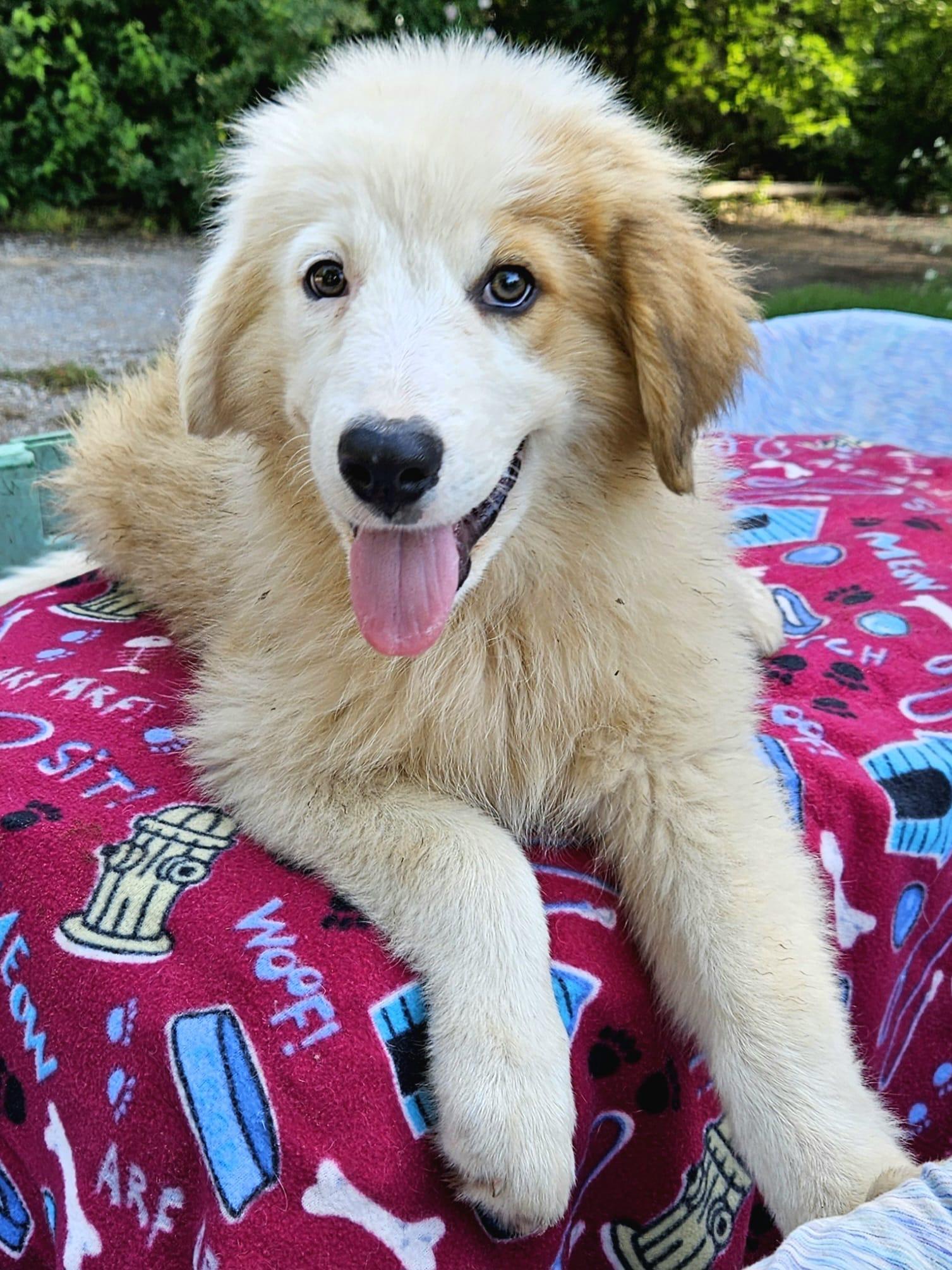 Bella photo 5