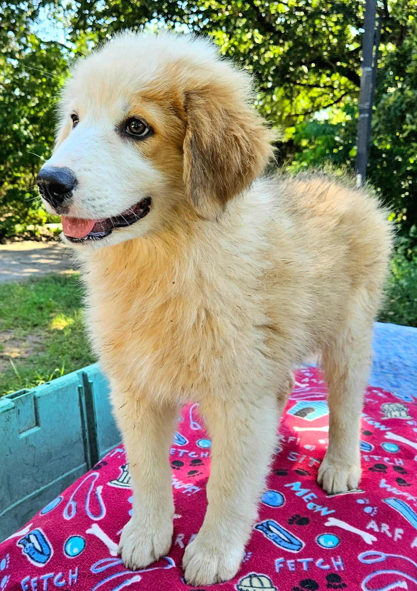 Bella photo 3
