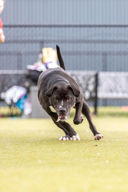 Marco FKA Zinc — thumbnail 2