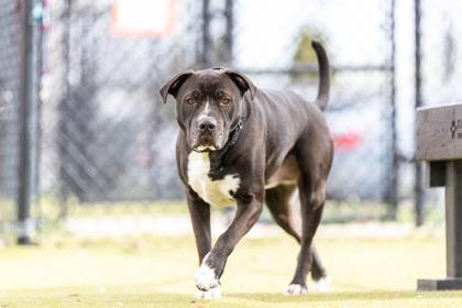 Marco FKA Zinc — thumbnail 3