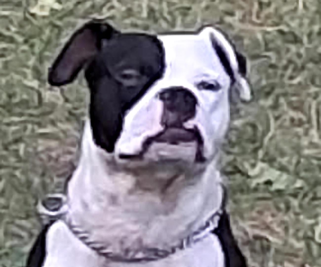 Sherman