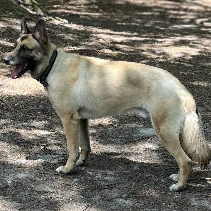 Kaiser photo 5