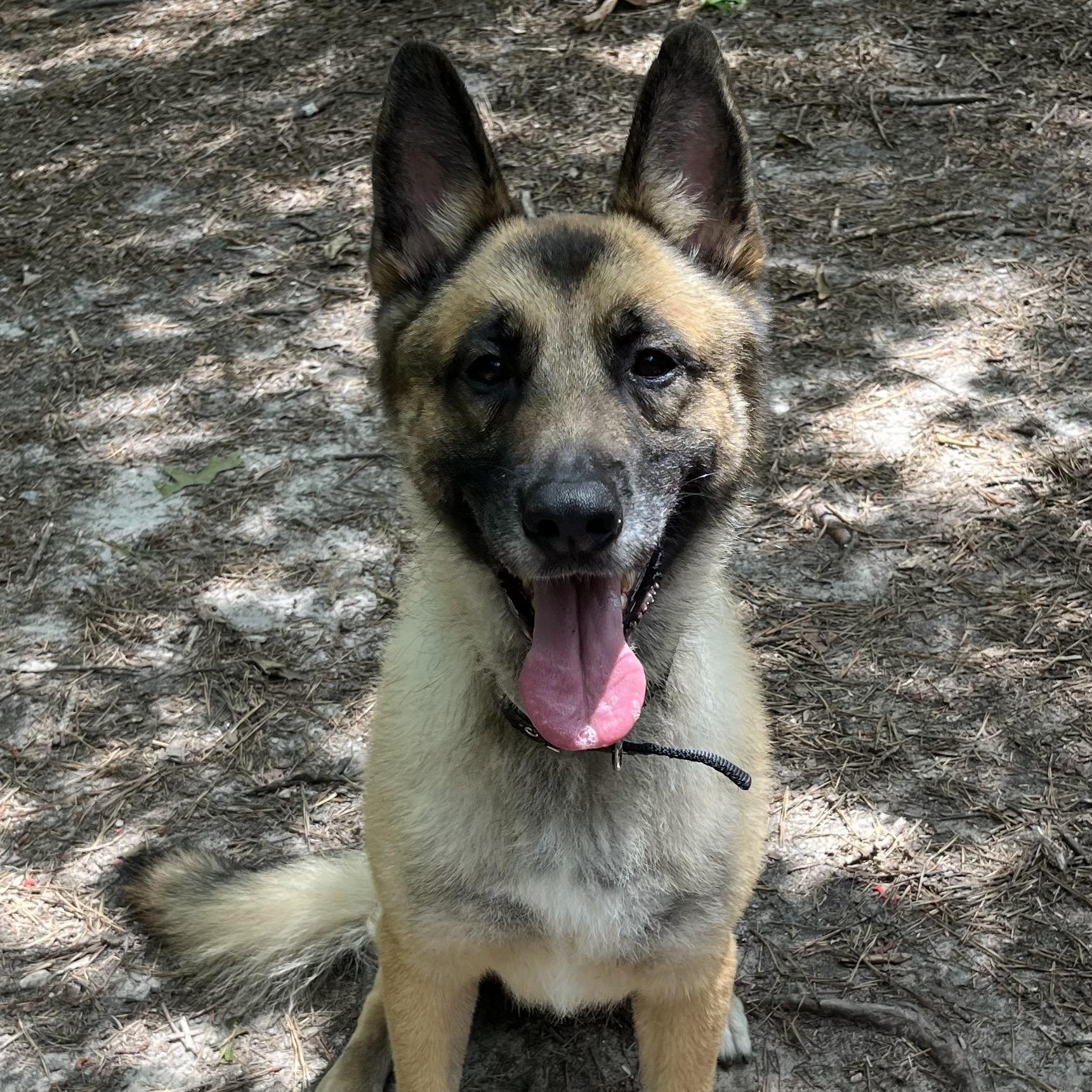Kaiser photo 3