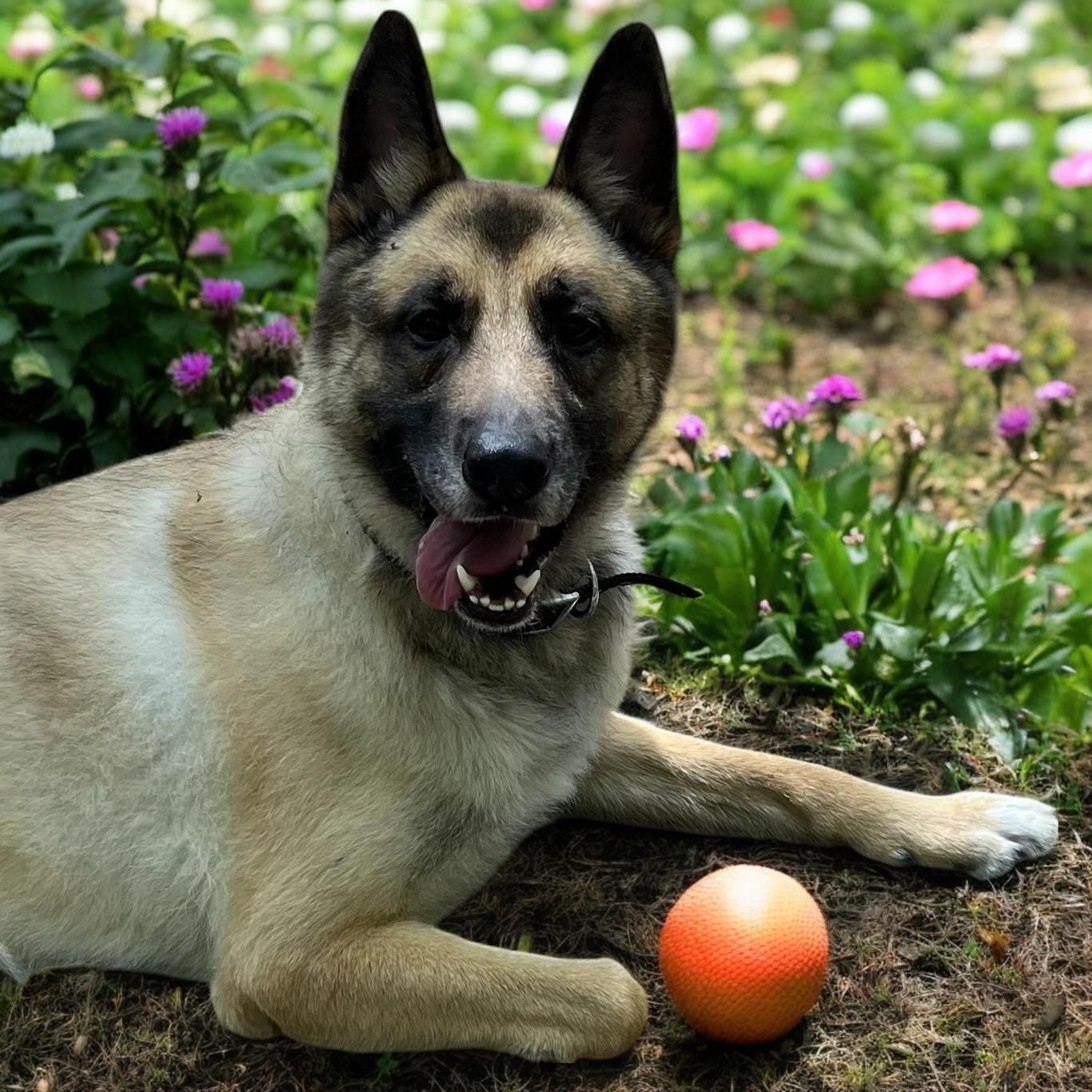 Kaiser photo 6