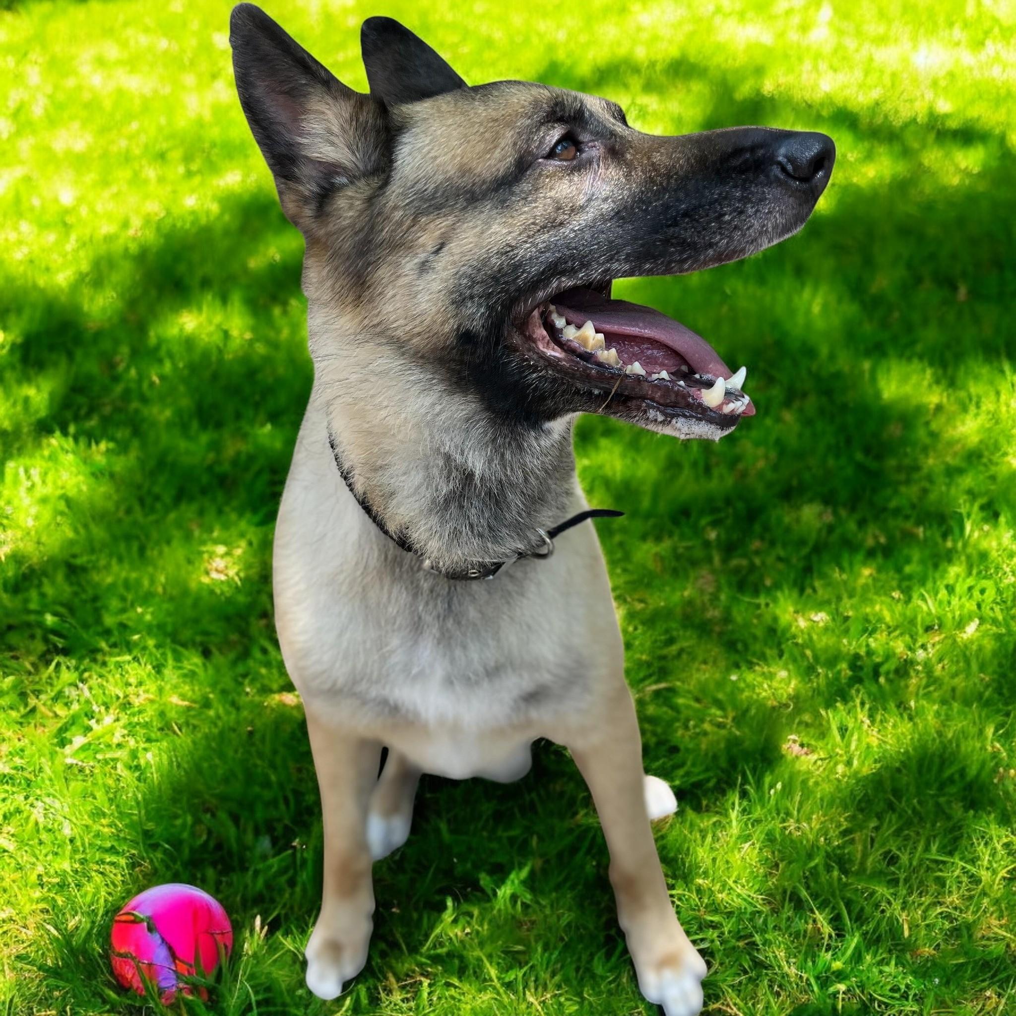 Kaiser photo 4