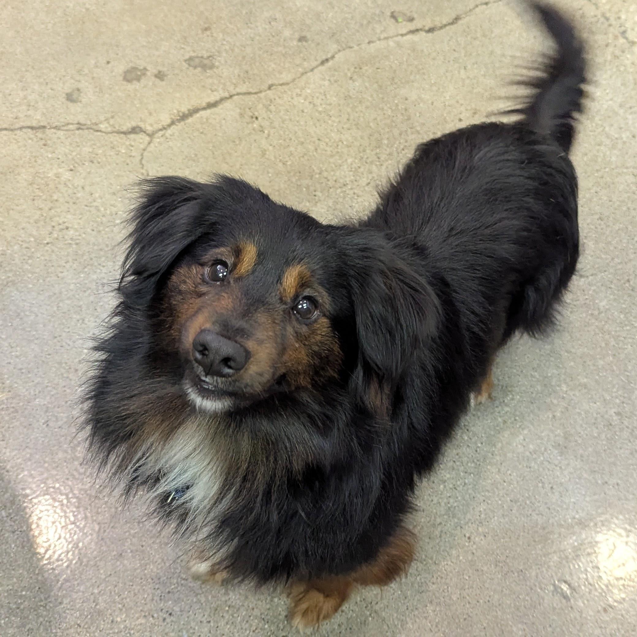 Bilbo Waggins photo 5