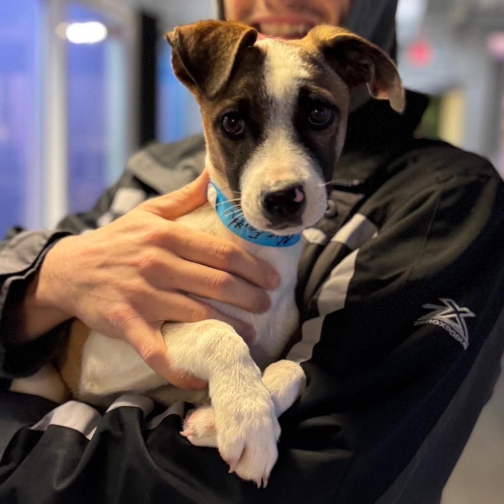 Emmett — thumbnail 2