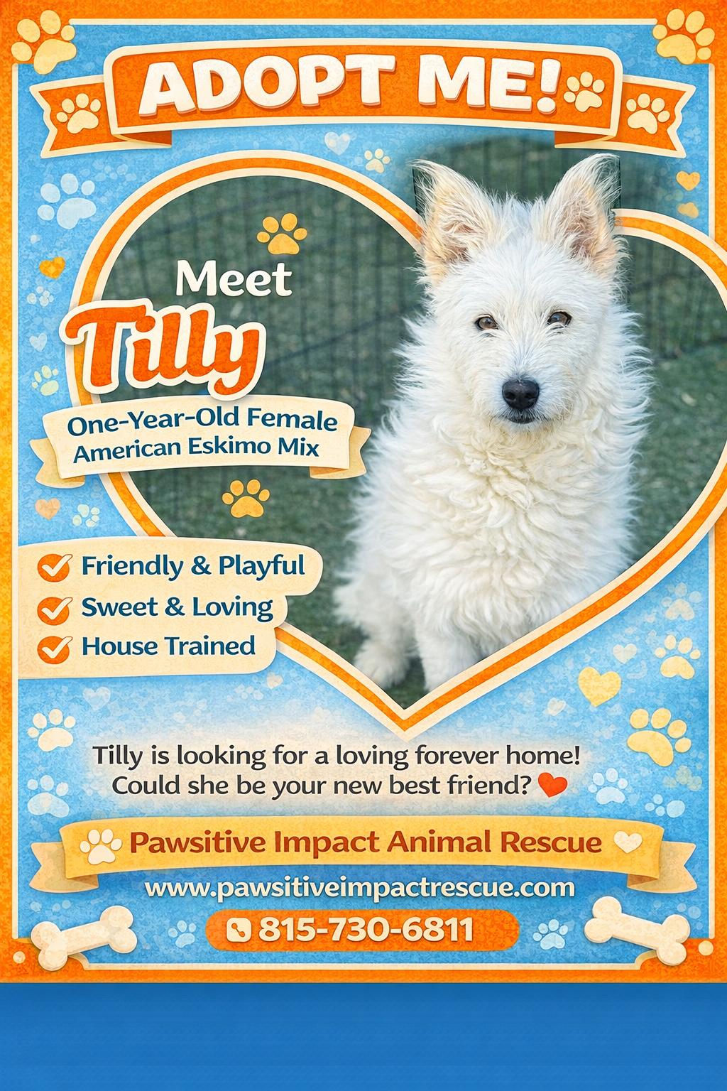 Enlarge Tilly , a ADOPTABLE mixed breed in Joliet, IL image 1/2