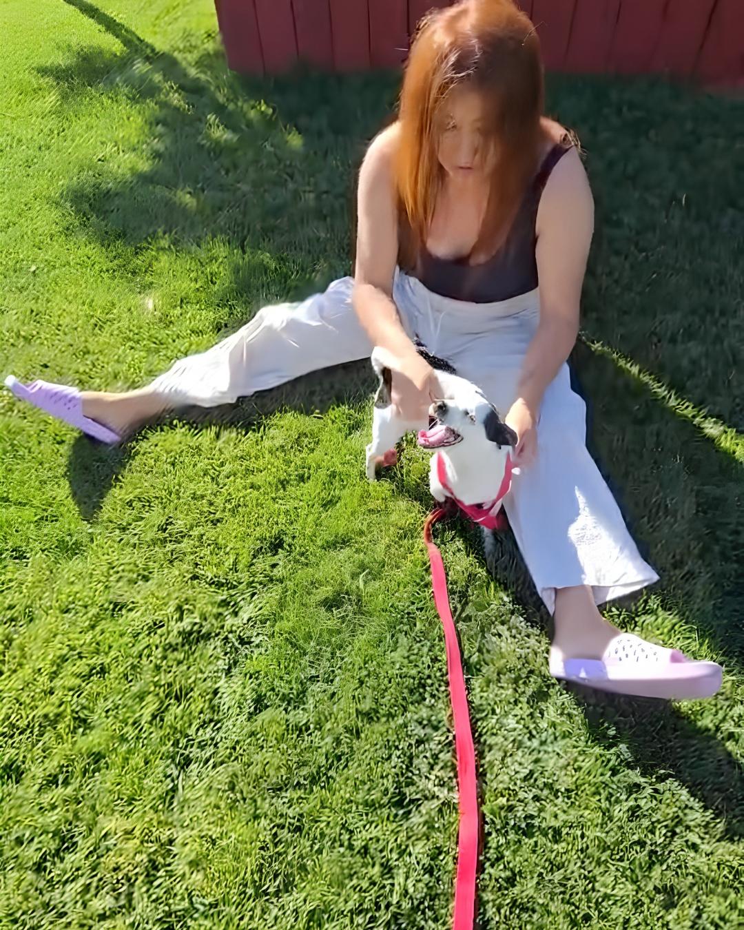 Biscuit, a ADOPTABLE mixed breed in San Francisco, CA image 4/6