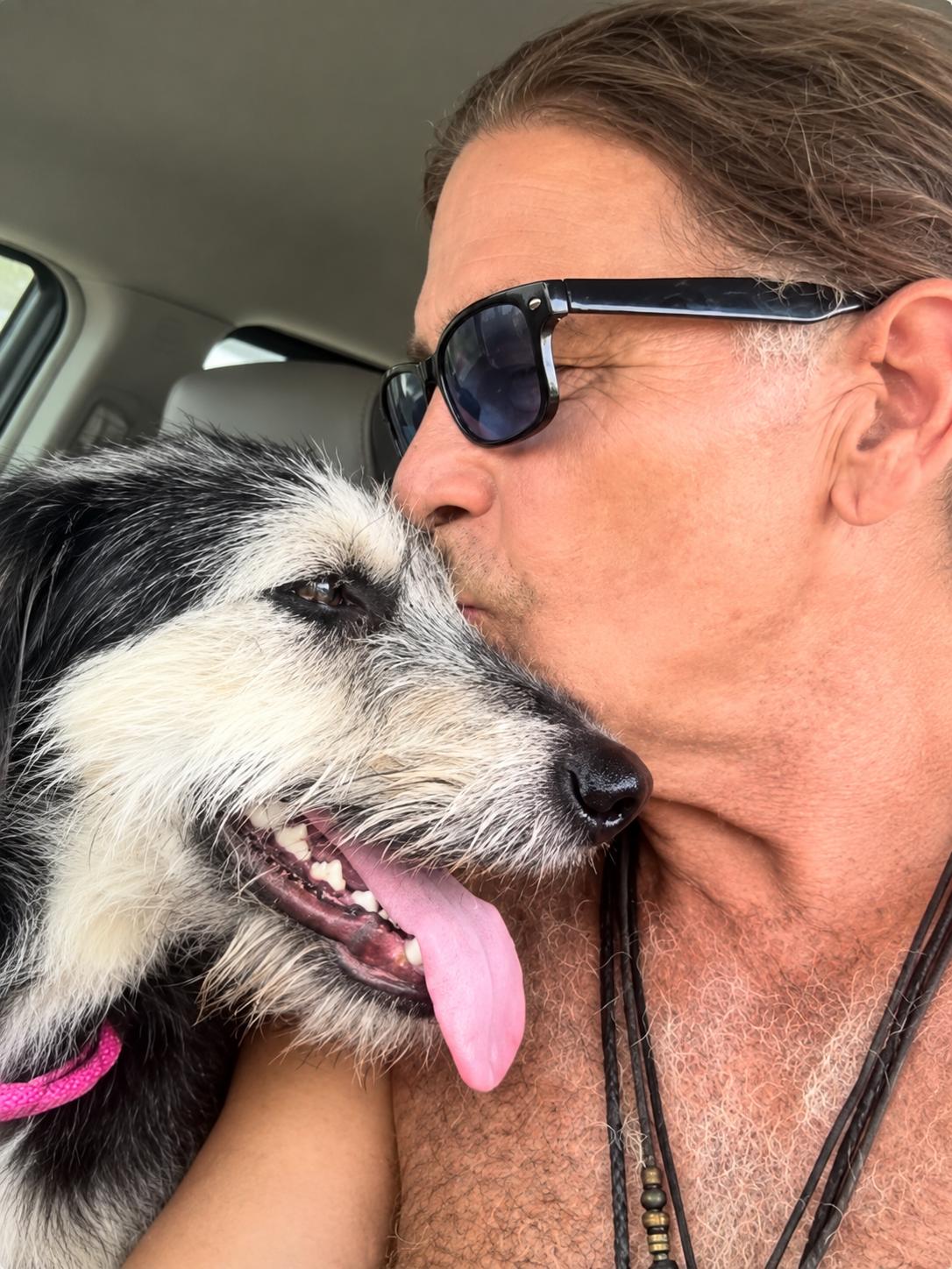 Enlarge Kiki, a Adoptable mixed breed in Houston, TX image 4/5