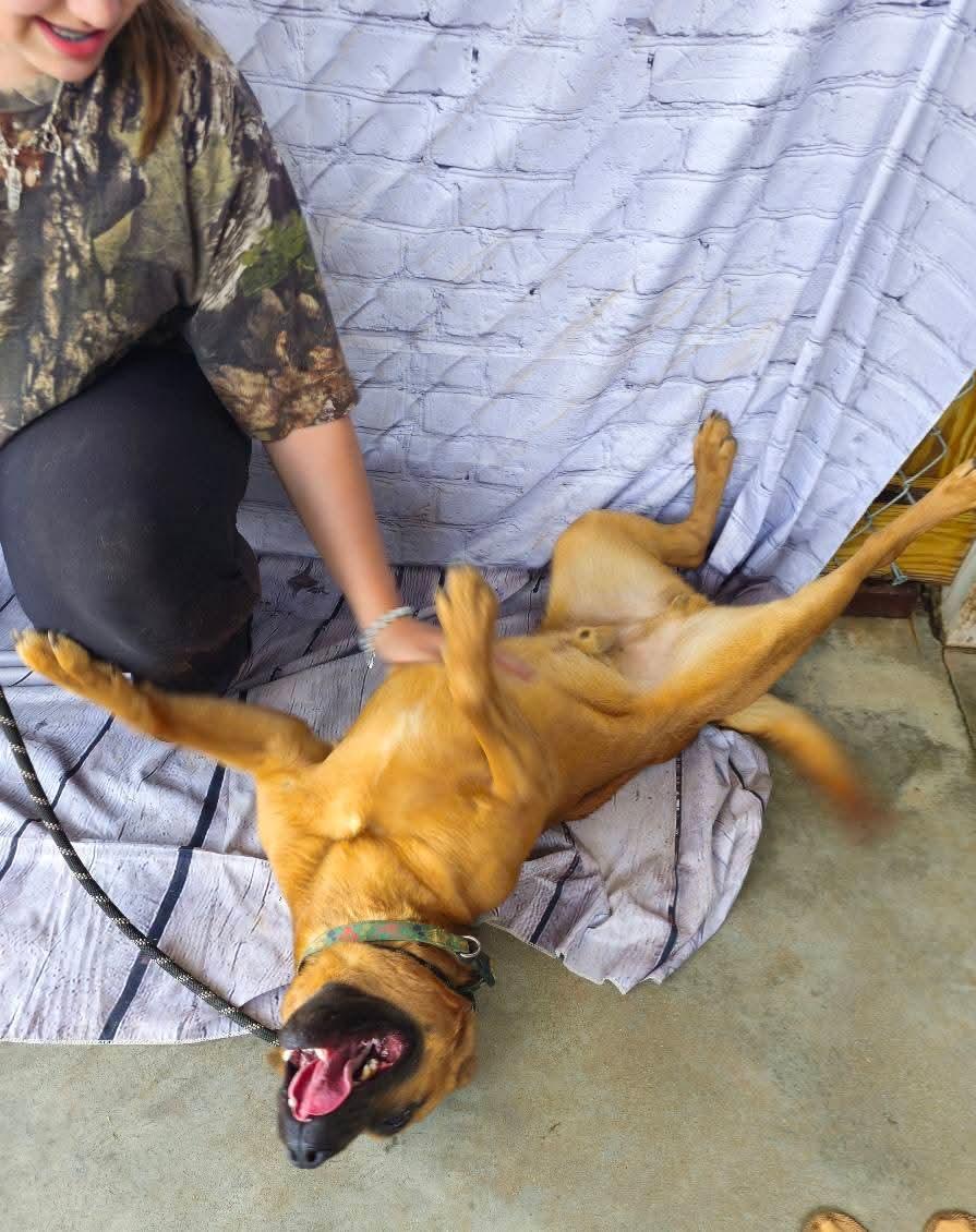 Leon, handsome, athletic, sweet boy