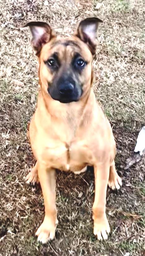 Leon, handsome, athletic, sweet boy