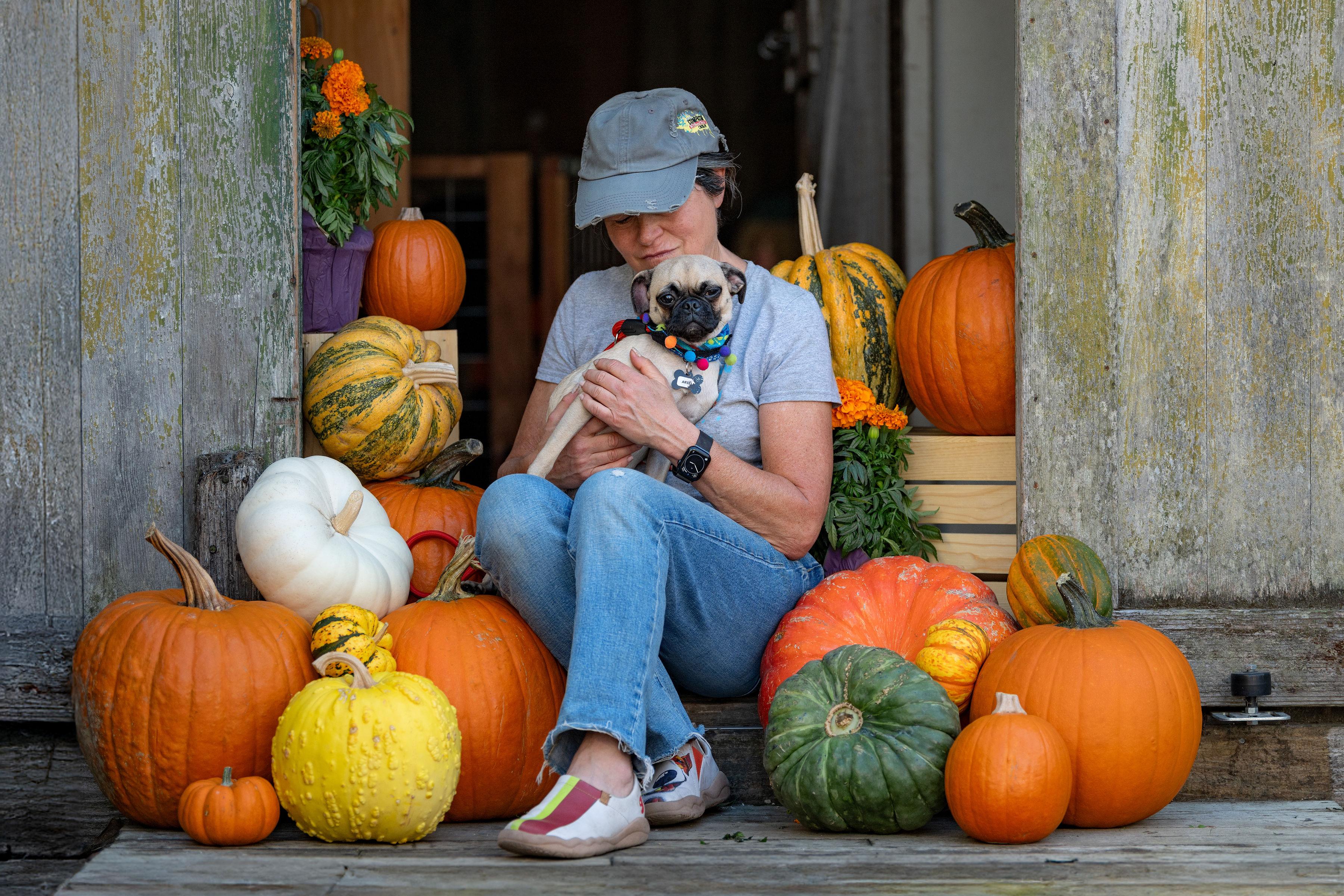 Enlarge Ariel, an adopted mixed breed in Santa Rosa, CA image 5/5