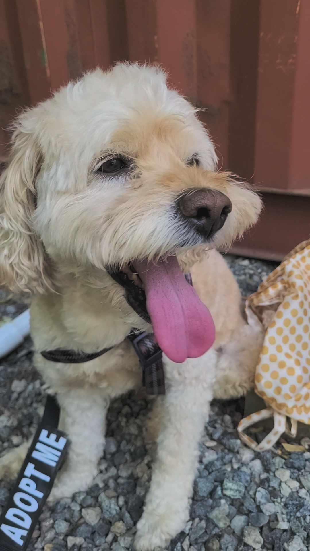 Quincy
