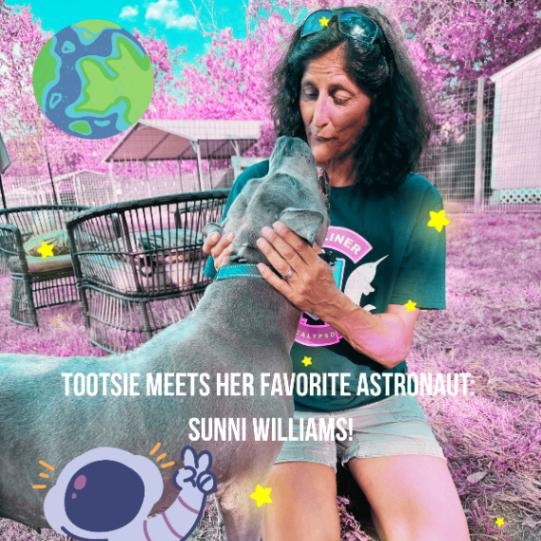 Tootsie Roll Your Happy Hippo — thumbnail 4