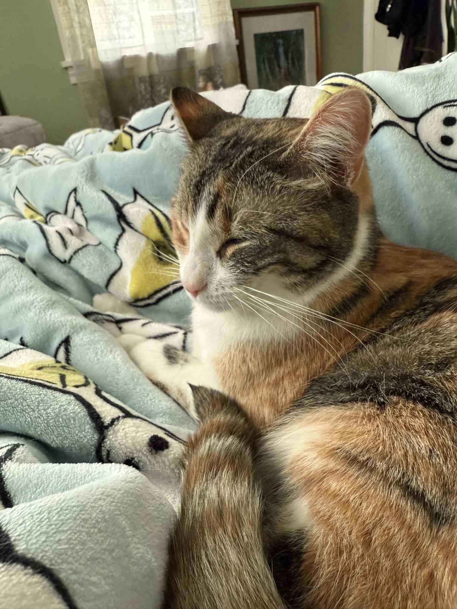 Sophie & Hunter Bonded