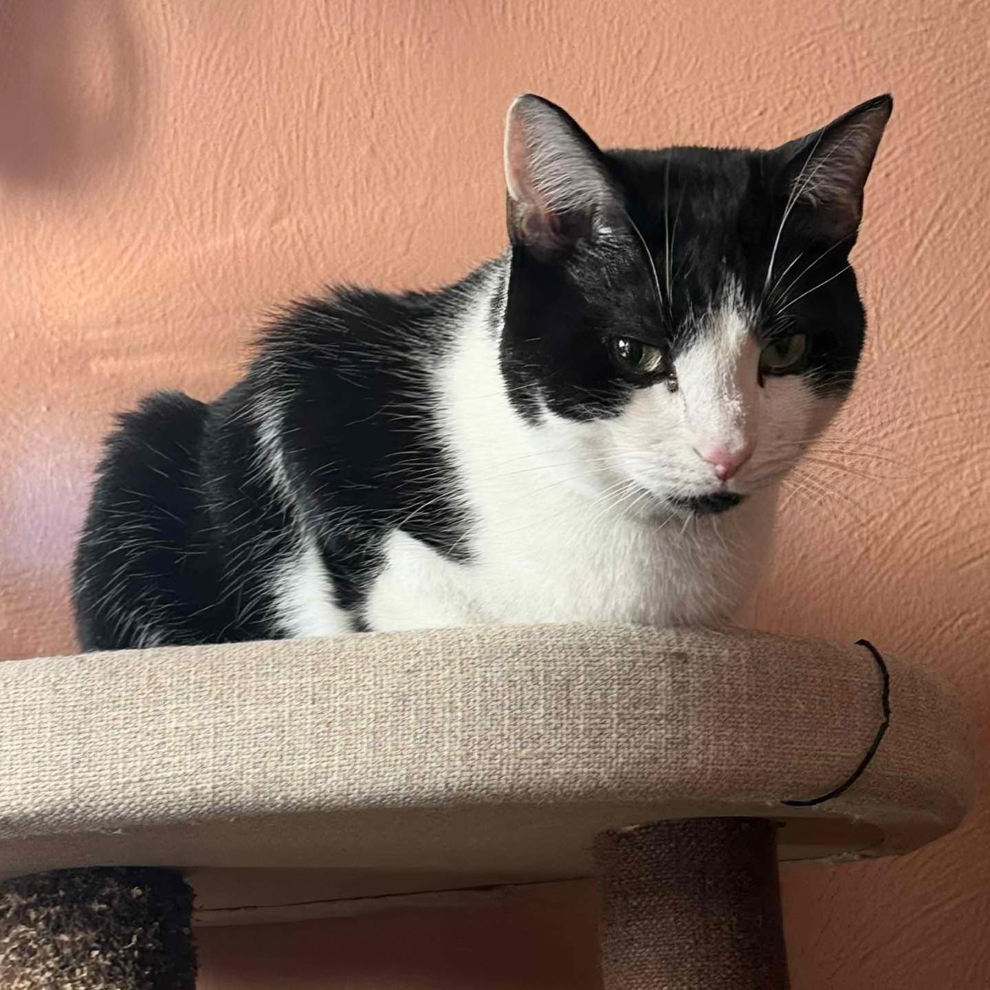 Sophie & Hunter Bonded thumbnail 6