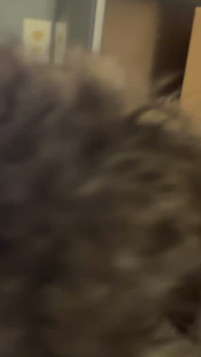 Enlarge Treeger, an adoptable mixed breed in Rochester, NY video 6/6