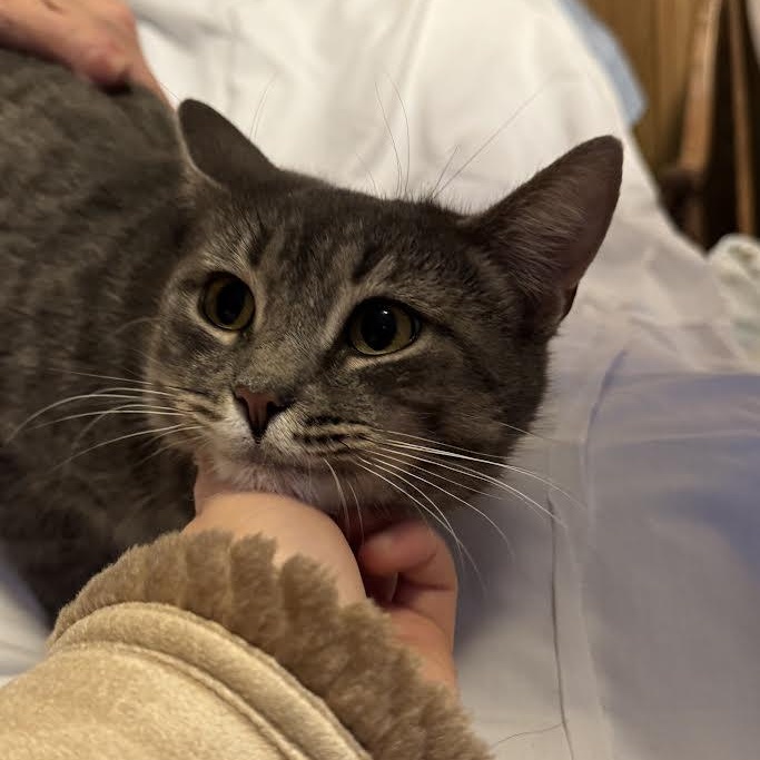 Carleigh — thumbnail 2