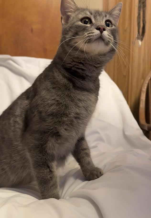 Carleigh — thumbnail 3