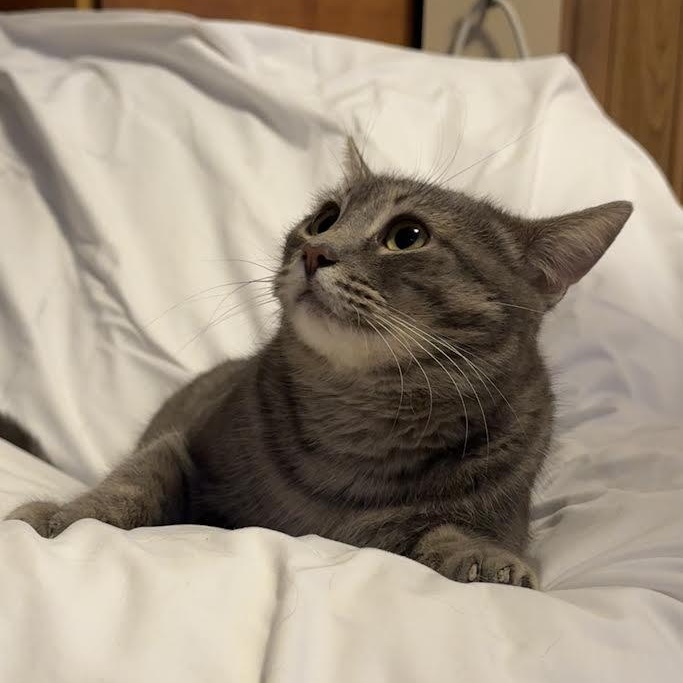 Carleigh — thumbnail 4