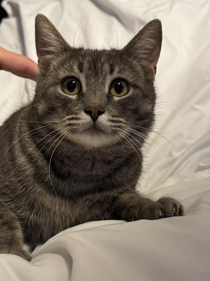 Carleigh — thumbnail 5