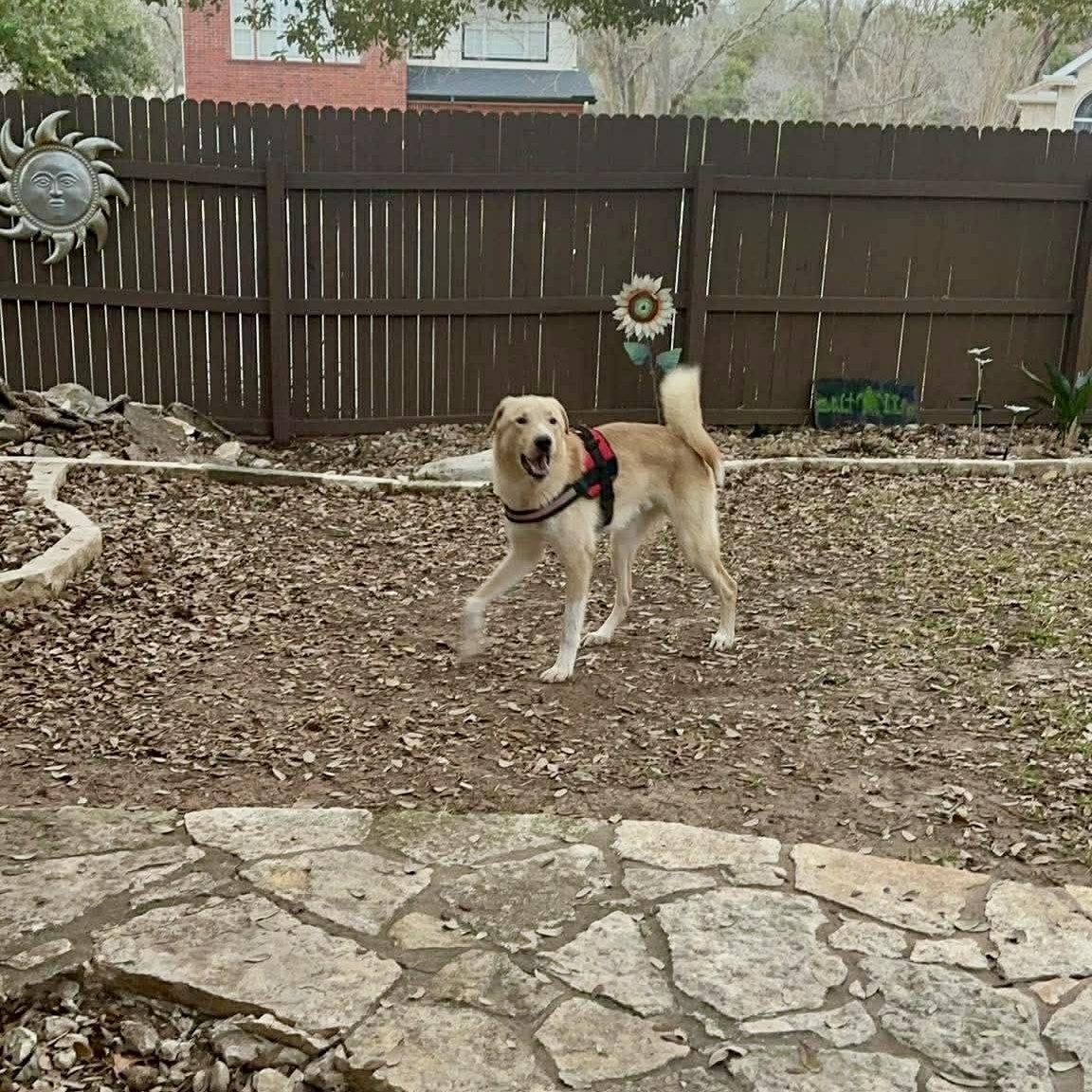 Cruz — thumbnail 2