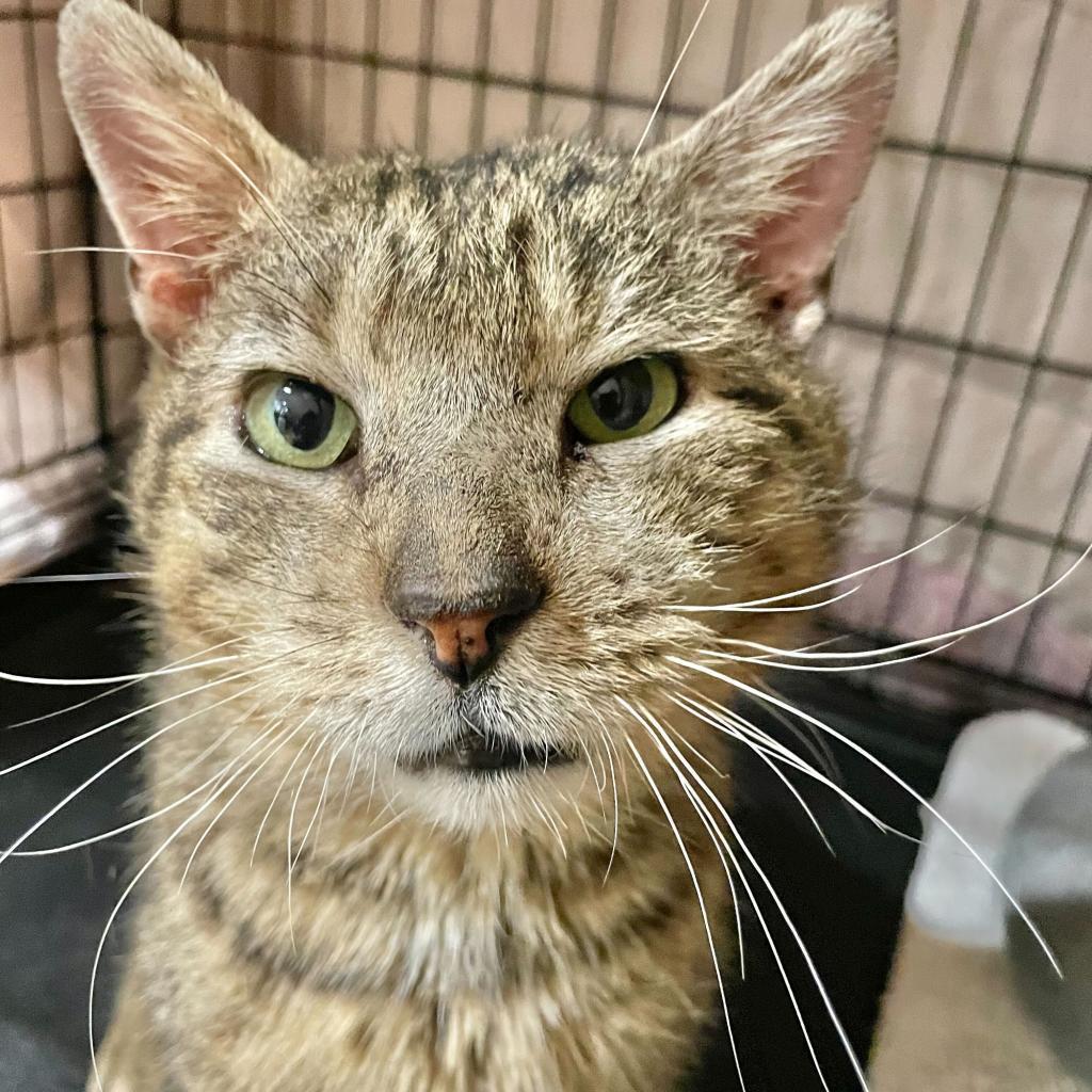 Jacob — thumbnail 2