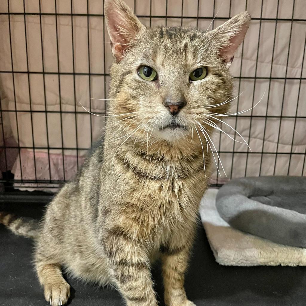 Jacob — thumbnail 3