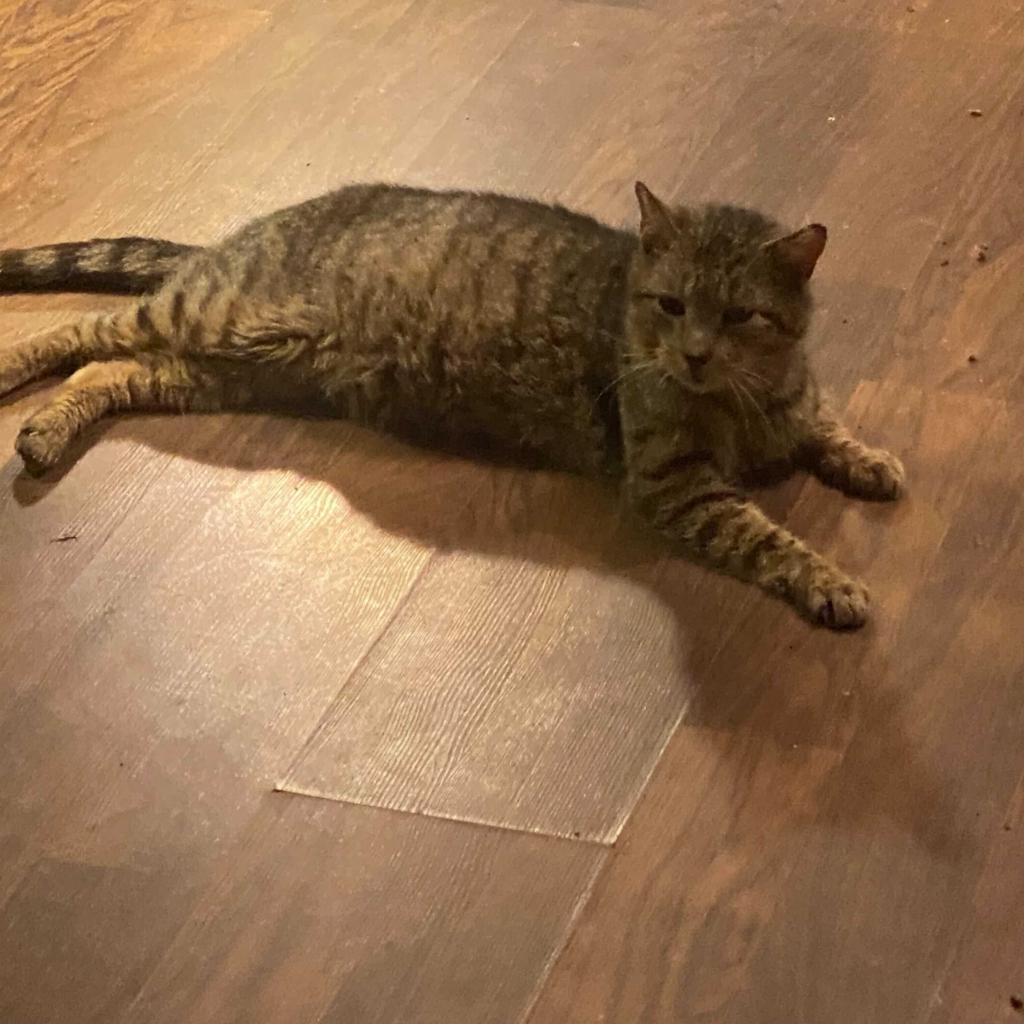 Jacob — thumbnail 4