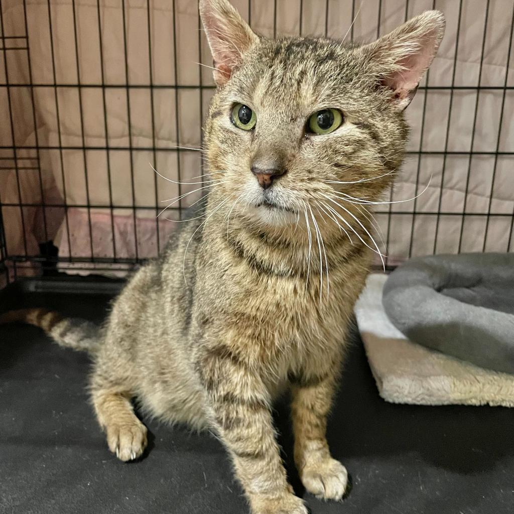 Jacob — thumbnail 5