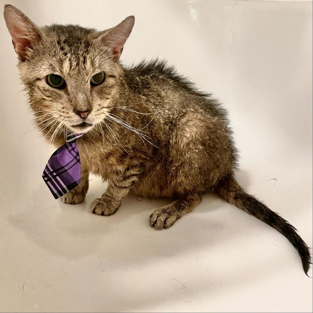 Jacob — thumbnail 6