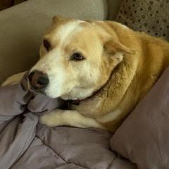 Molly photo 2