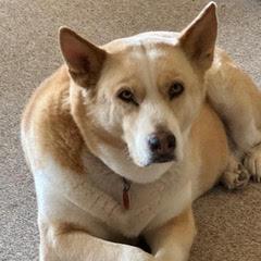 Molly photo 4