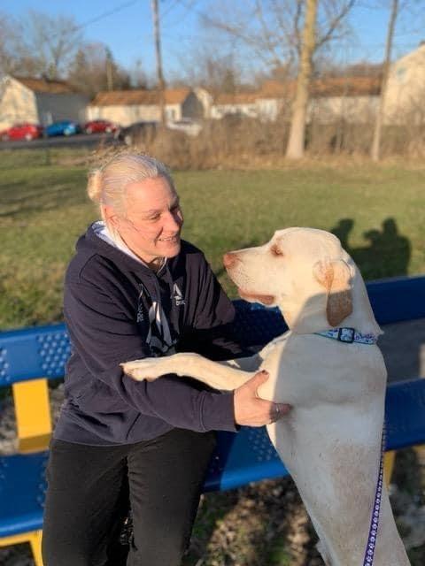 Enlarge Moose, a Adopted Black Mouth Cur in Syracuse, NY image 3/6
