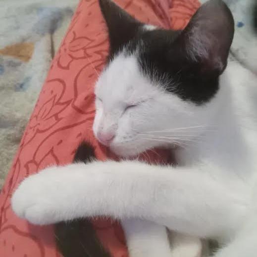 Hershey — thumbnail 2