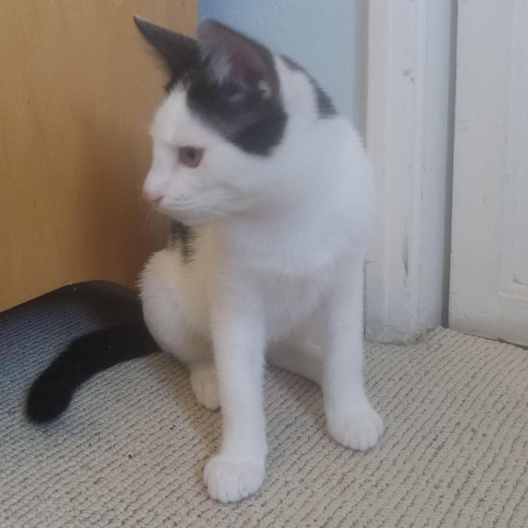 Hershey — thumbnail 3