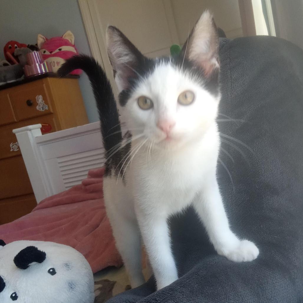 Hershey — thumbnail 4