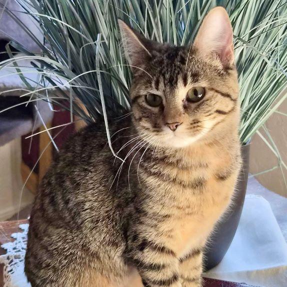 Barrie — thumbnail 2