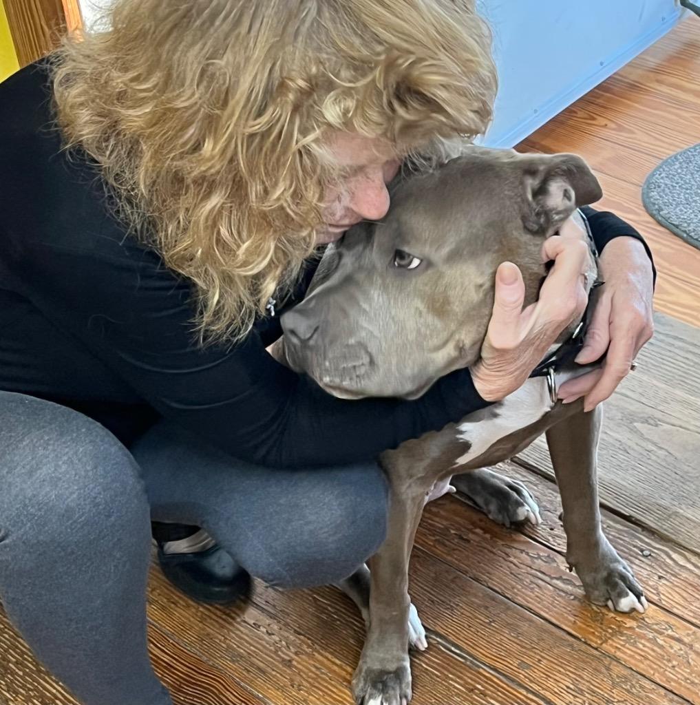 Tilly, a Adoptable mixed breed in Columbia, IL image 3/6