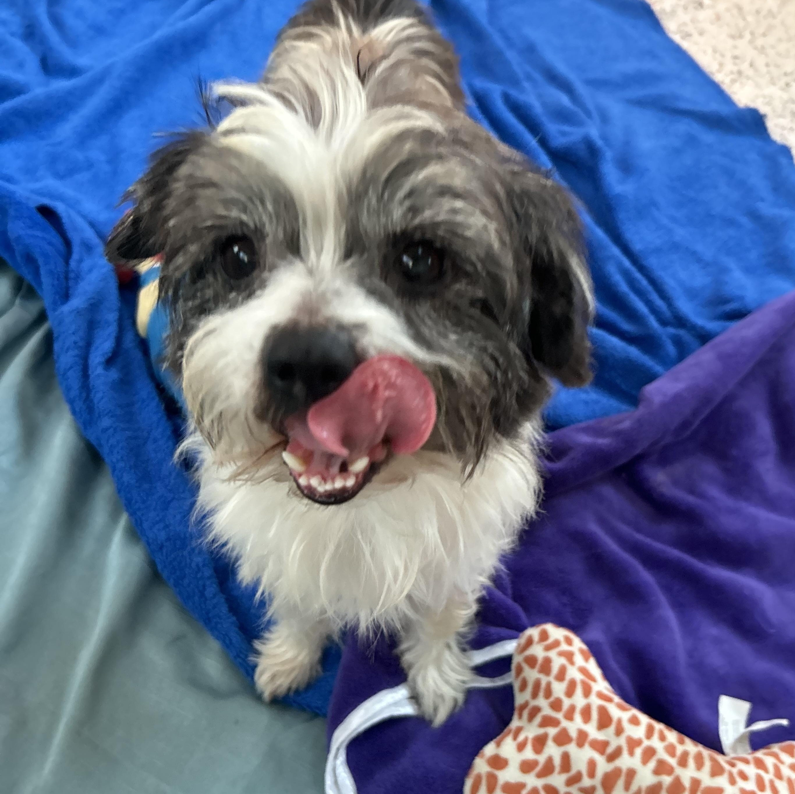 Logan **WARNING: CUTENESS OVERLOAD**