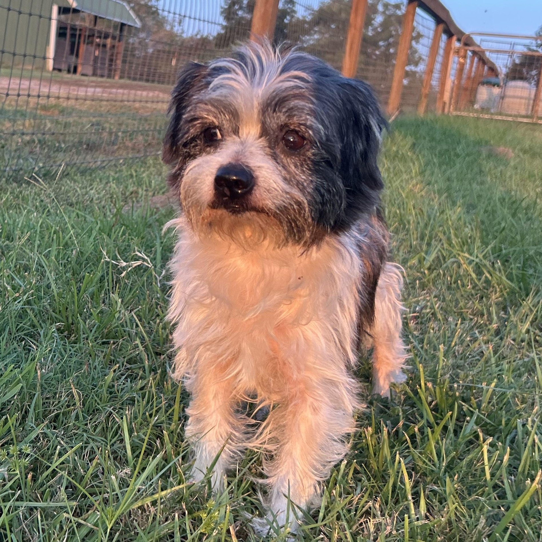 Logan **WARNING: CUTENESS OVERLOAD**