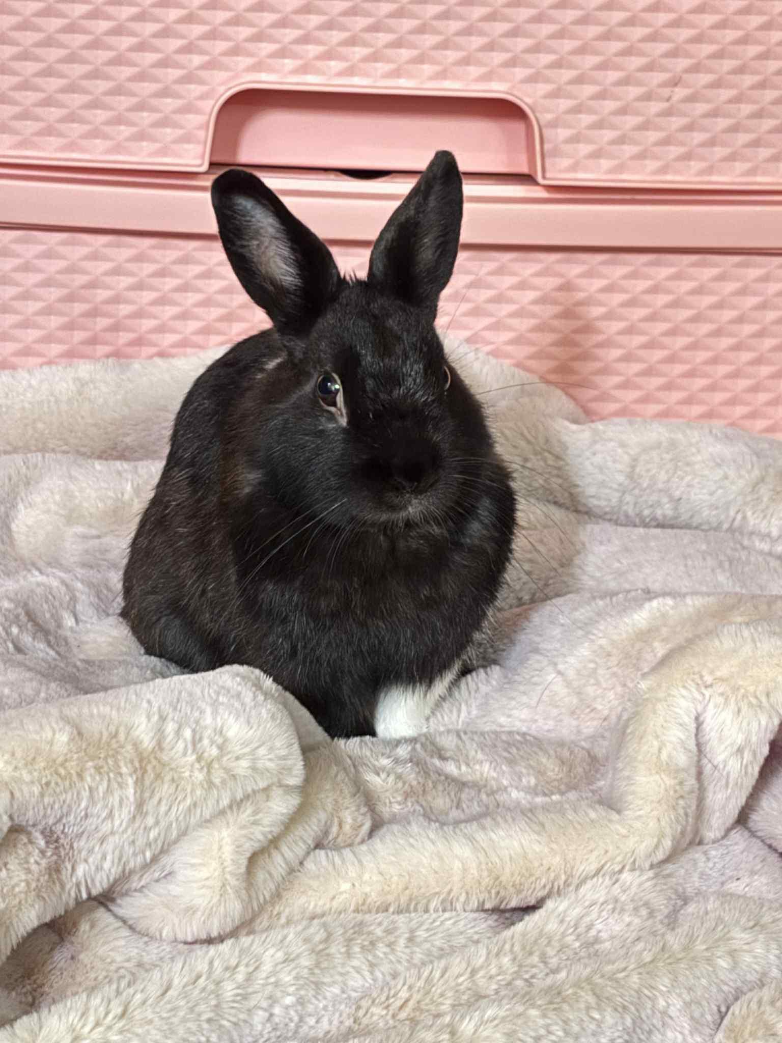 Benny
