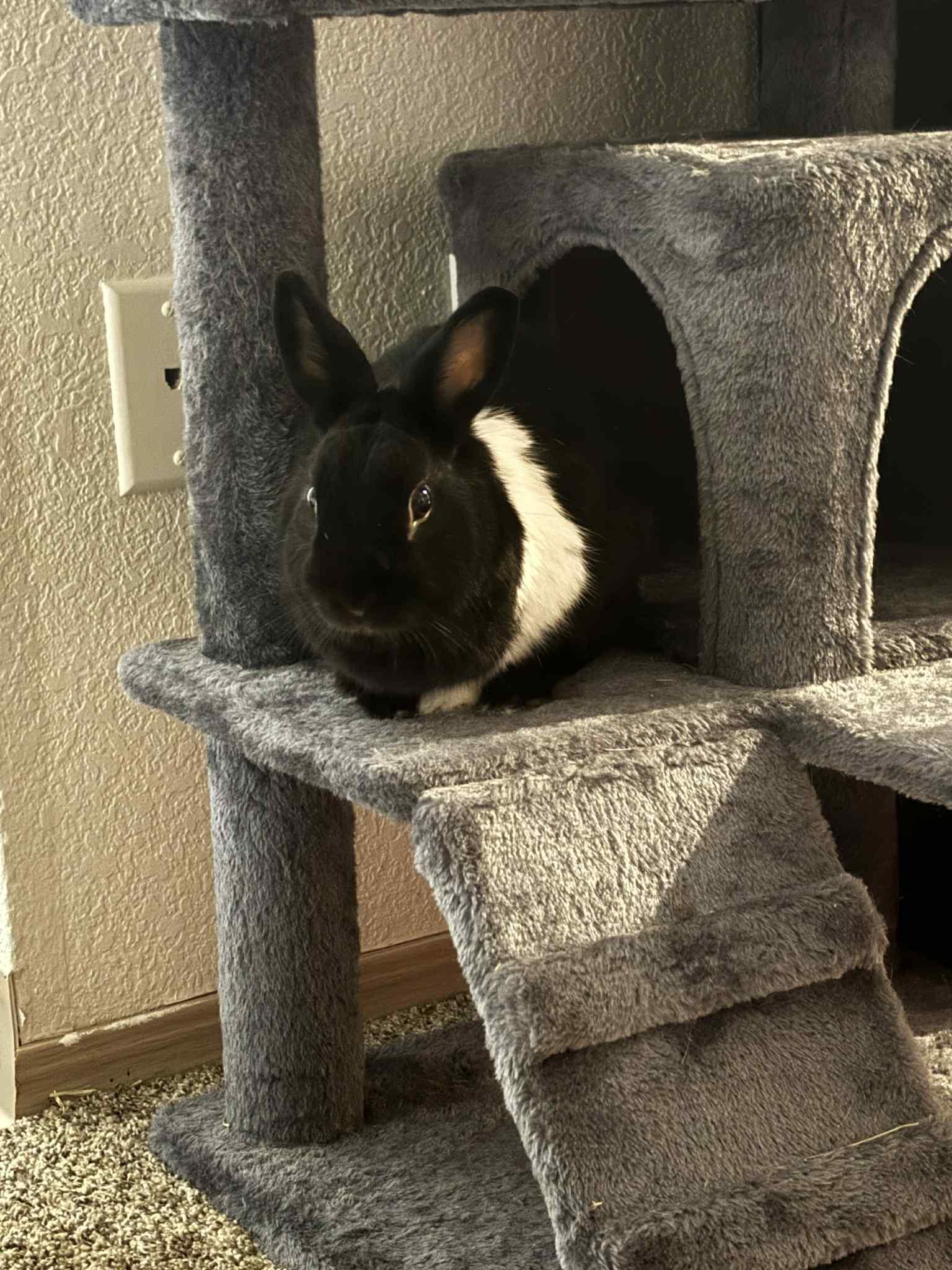 Benny