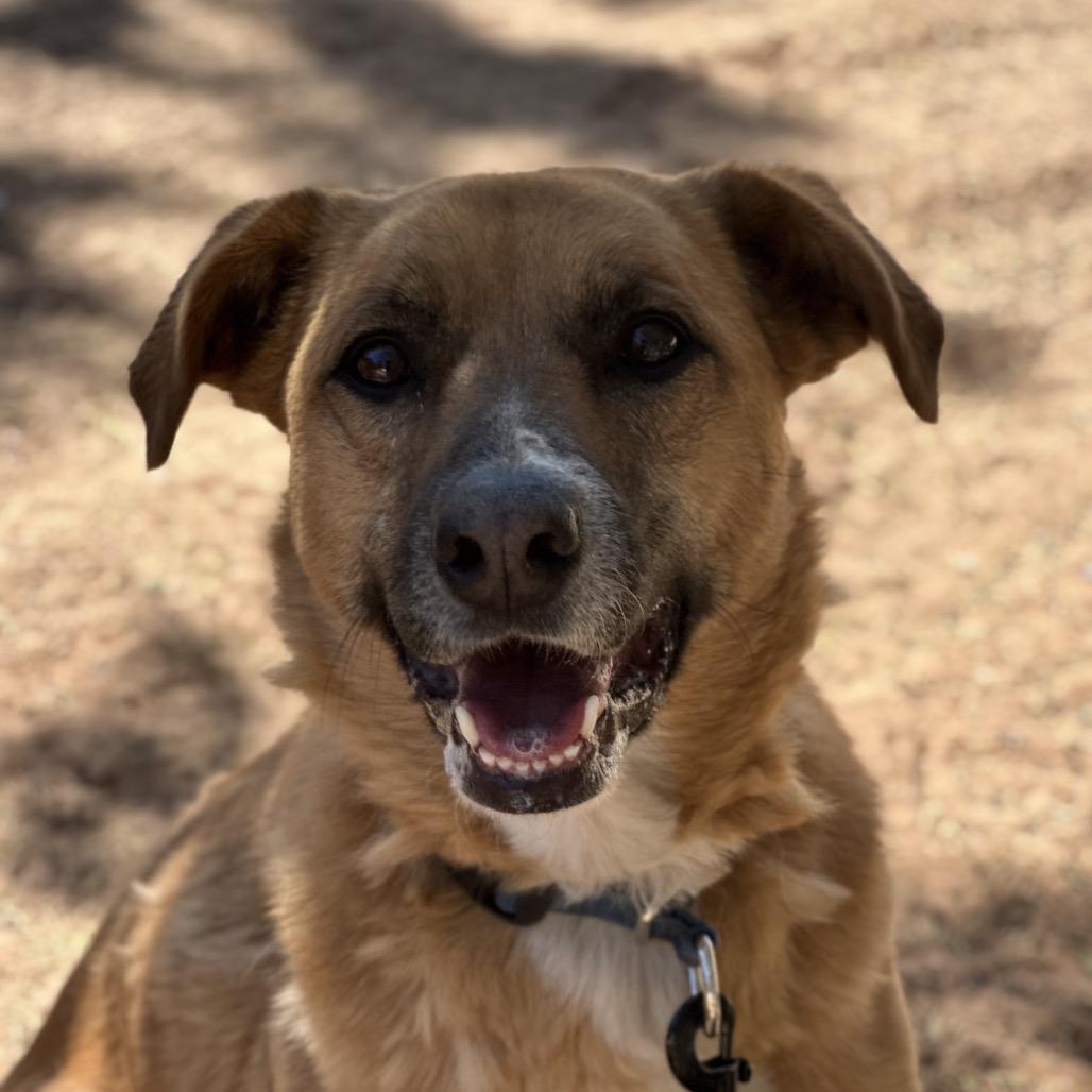 Marmoset — thumbnail 2