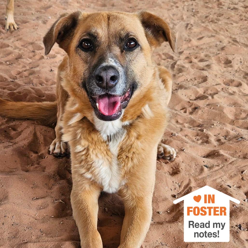 Marmoset — thumbnail 4