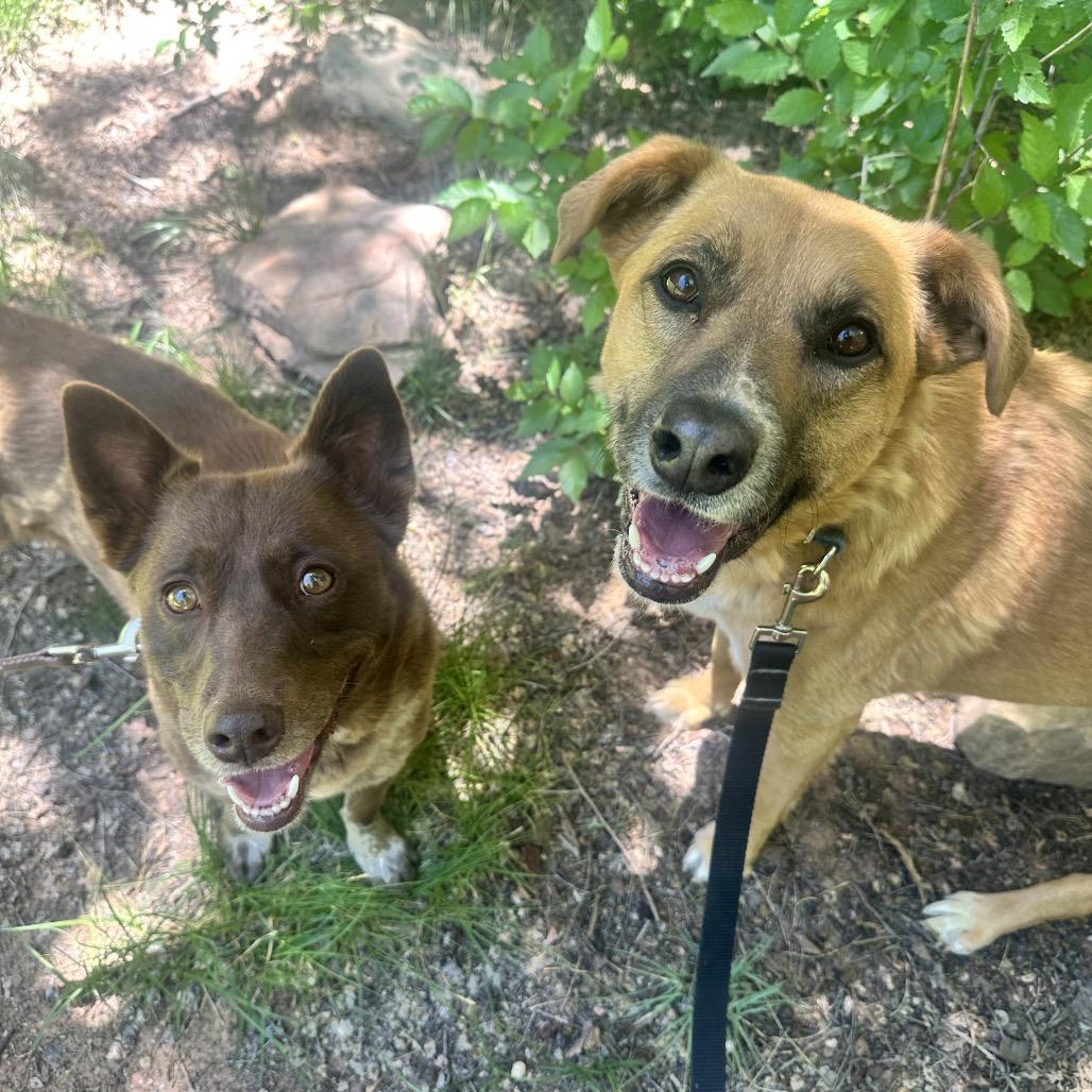 Marmoset — thumbnail 5