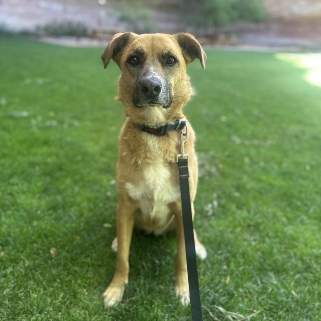 Marmoset — thumbnail 6